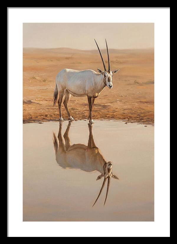 Majestic Arabian Oryx Reflection