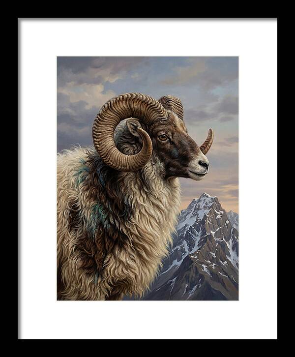 Majestic Argali Ram Portrait