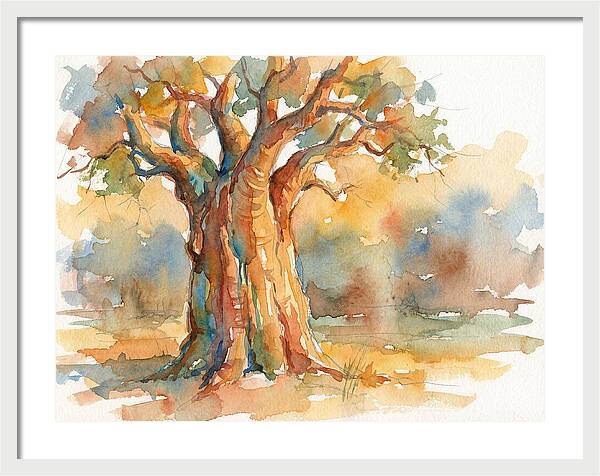 Majestic Baobab Tranquility