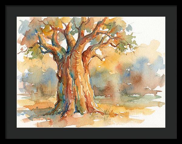 Majestic Baobab Tranquility