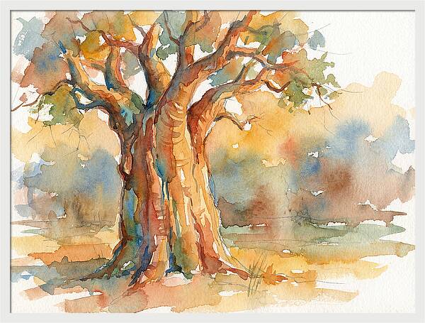 Majestic Baobab Tranquility
