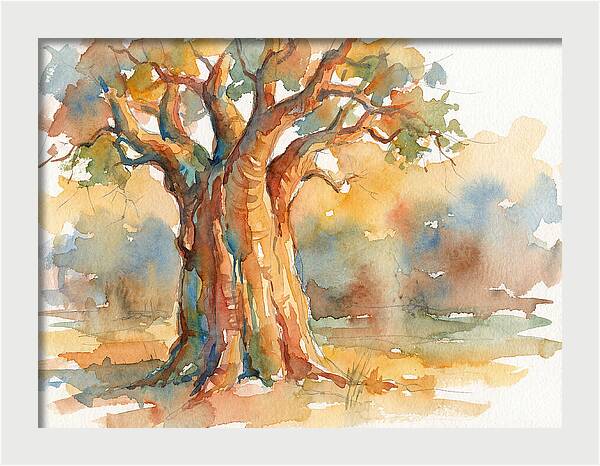 Majestic Baobab Tranquility