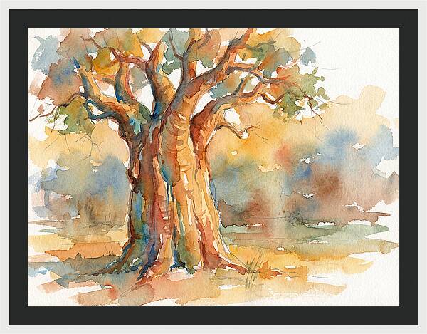 Majestic Baobab Tranquility