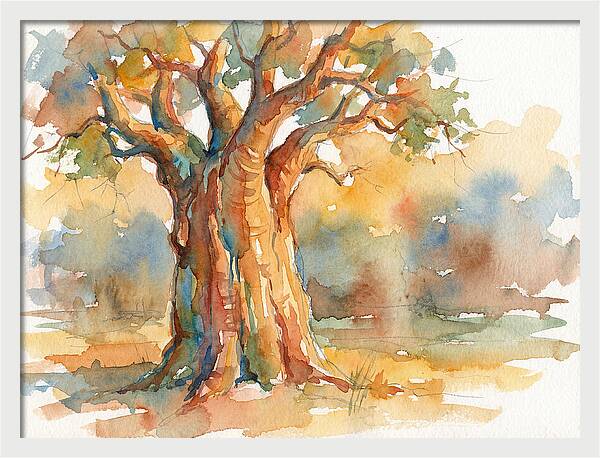 Majestic Baobab Tranquility