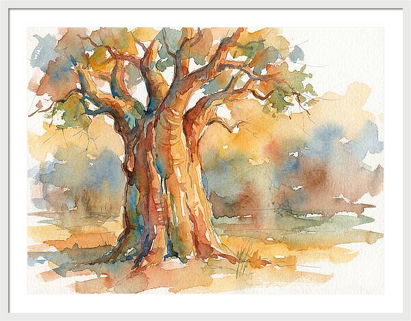 Majestic Baobab Tranquility