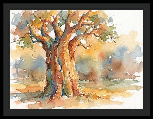 Majestic Baobab Tranquility