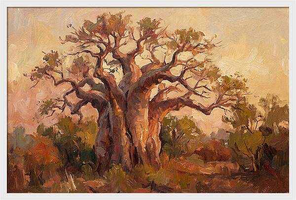Majestic Baobab Tree At Dusk