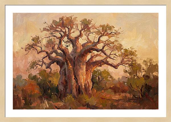 Majestic Baobab Tree At Dusk