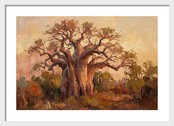 Majestic Baobab Tree At Dusk
