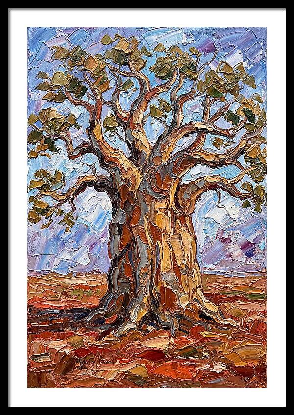 Majestic Baobab Tree