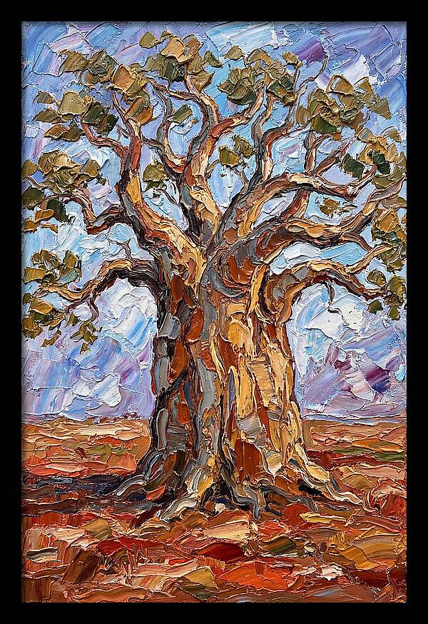Majestic Baobab Tree