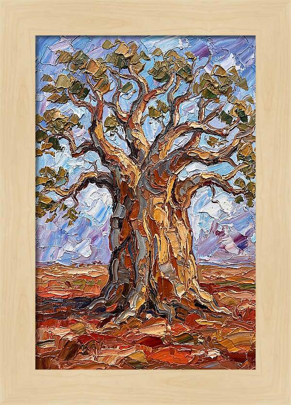 Majestic Baobab Tree