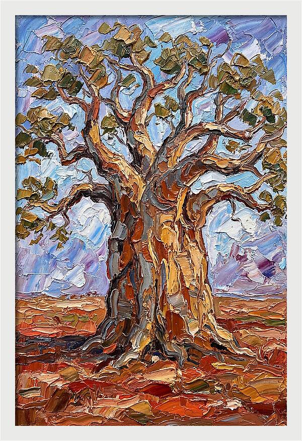 Majestic Baobab Tree