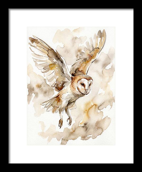 Majestic Barn Owl Soaring