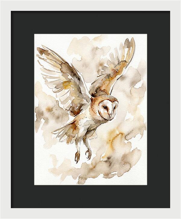 Majestic Barn Owl Soaring