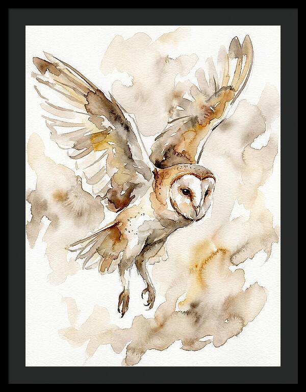 Majestic Barn Owl Soaring
