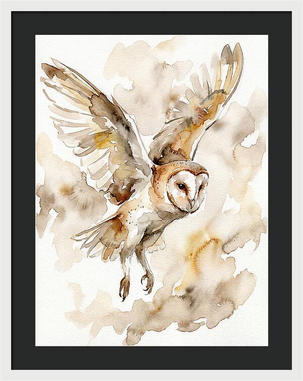 Majestic Barn Owl Soaring