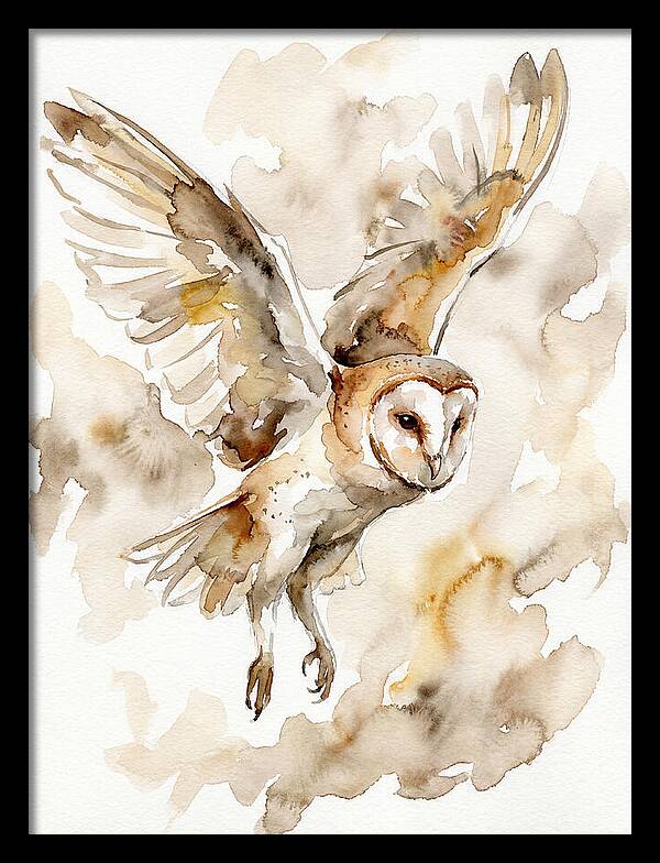Majestic Barn Owl Soaring