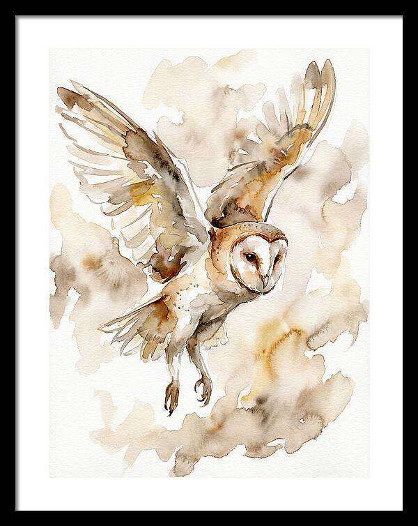 Majestic Barn Owl Soaring