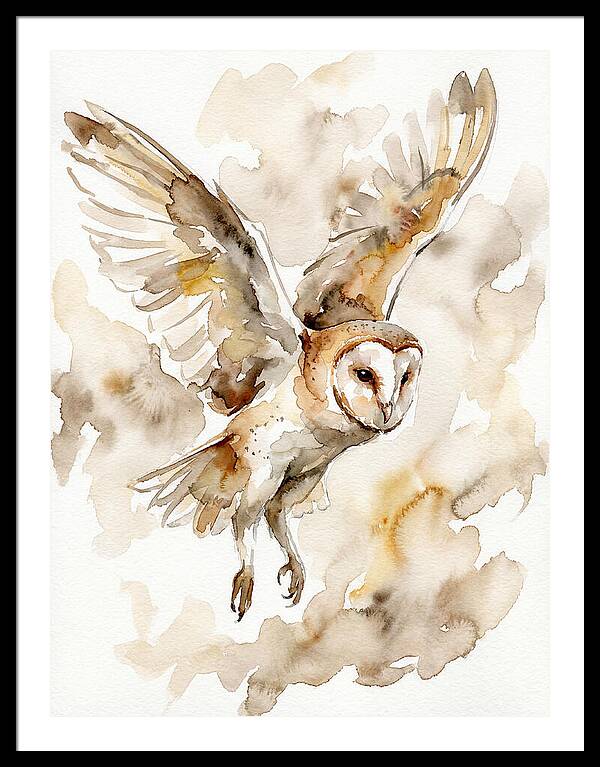 Majestic Barn Owl Soaring