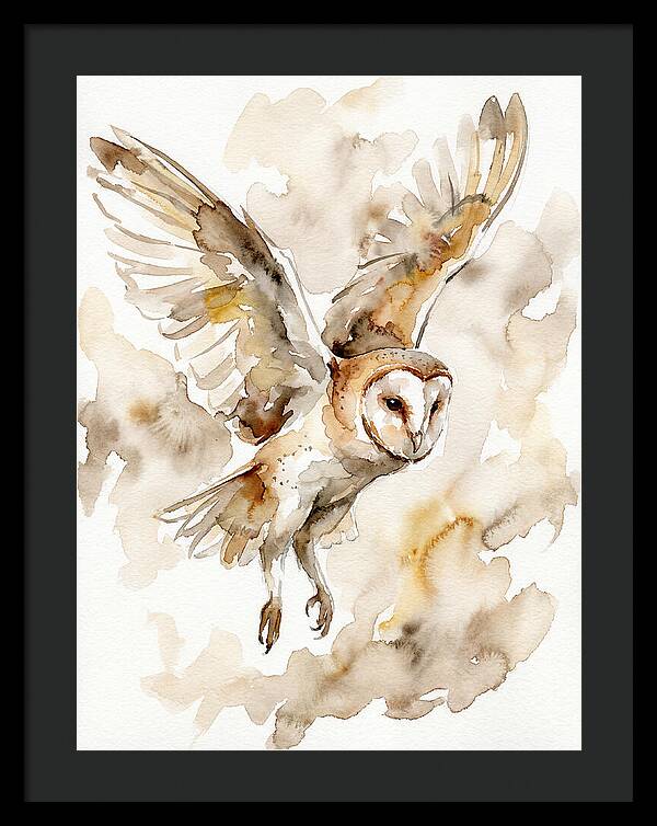 Majestic Barn Owl Soaring