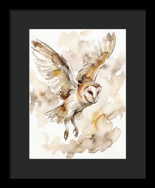Majestic Barn Owl Soaring