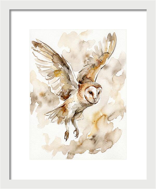 Majestic Barn Owl Soaring