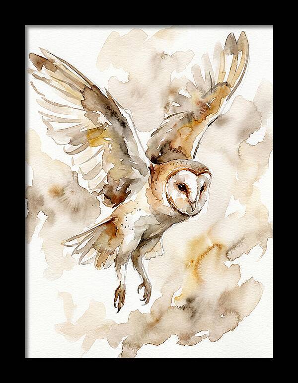 Majestic Barn Owl Soaring