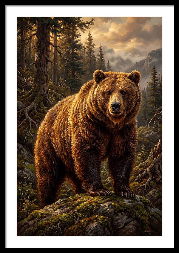 Majestic Bear In Nature