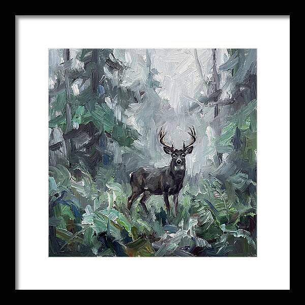 Majestic Blacktailed Deer