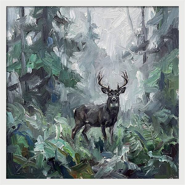 Majestic Blacktailed Deer