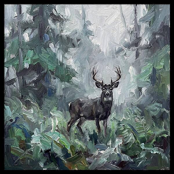 Majestic Blacktailed Deer