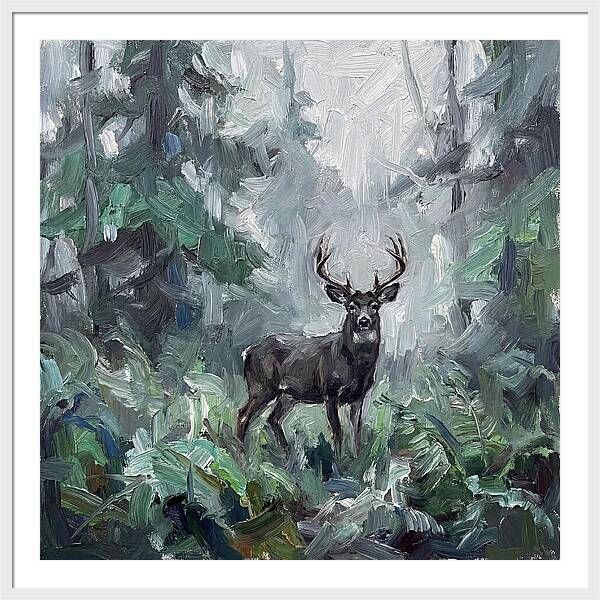 Majestic Blacktailed Deer