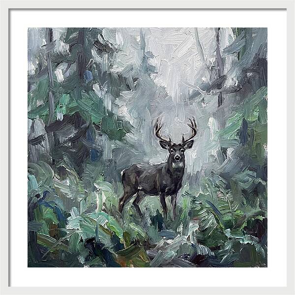 Majestic Blacktailed Deer