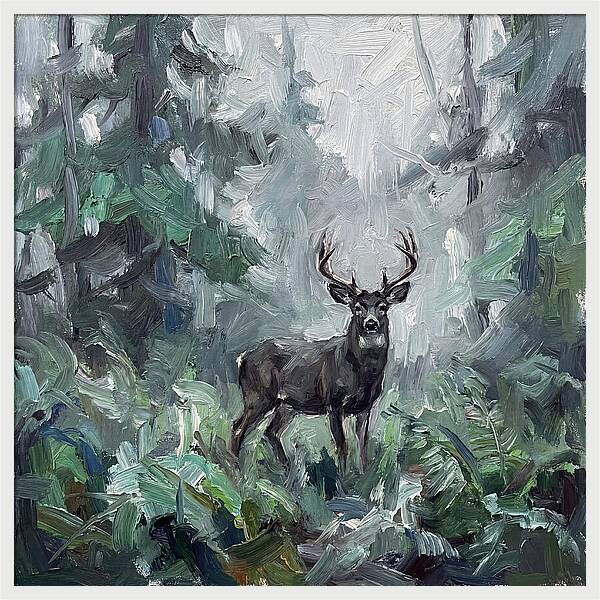 Majestic Blacktailed Deer