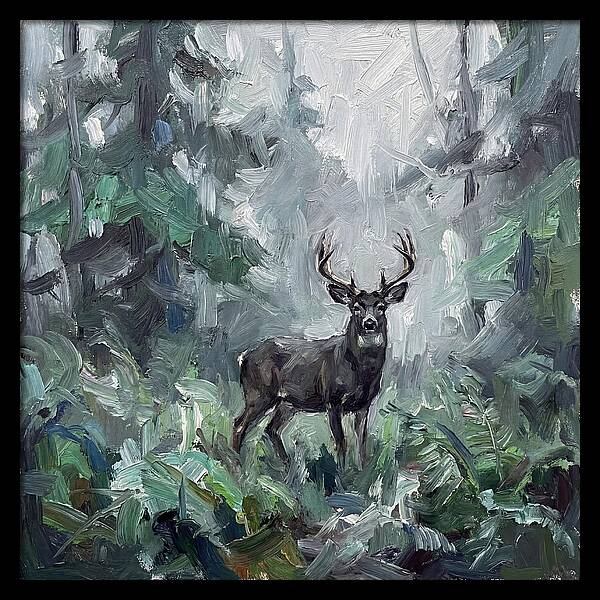 Majestic Blacktailed Deer