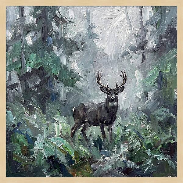 Majestic Blacktailed Deer