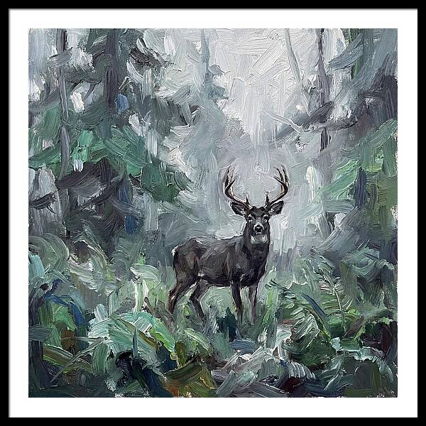Majestic Blacktailed Deer