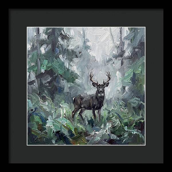 Majestic Blacktailed Deer