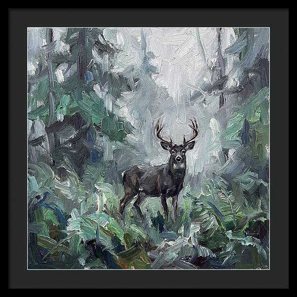 Majestic Blacktailed Deer
