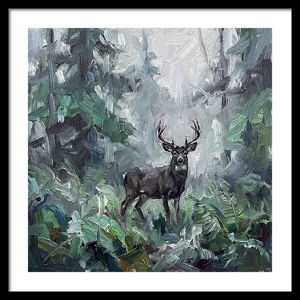 Majestic Blacktailed Deer