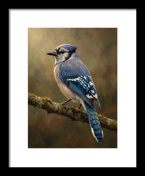 Majestic Blue Jay Display