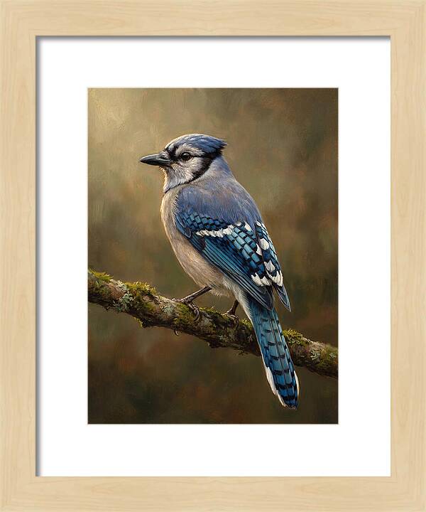 Majestic Blue Jay Display