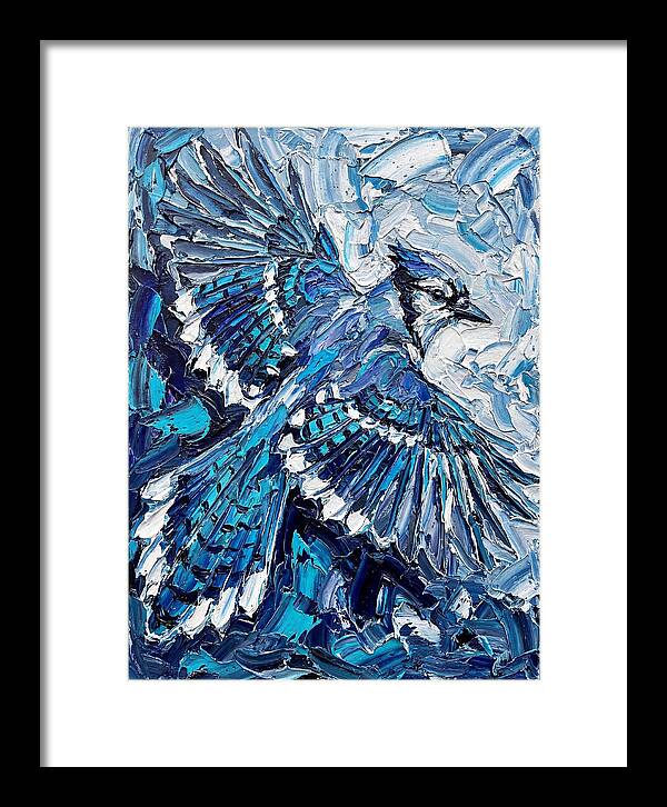 Majestic Blue Jay Soaring