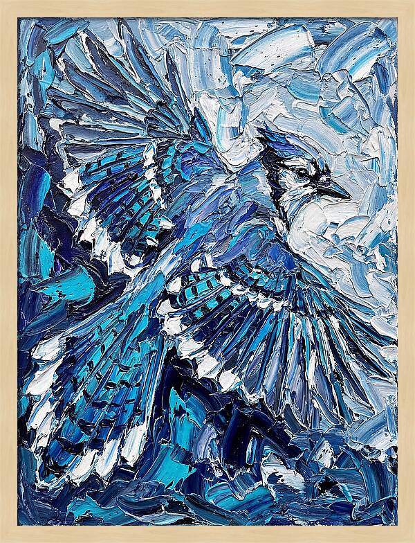 Majestic Blue Jay Soaring