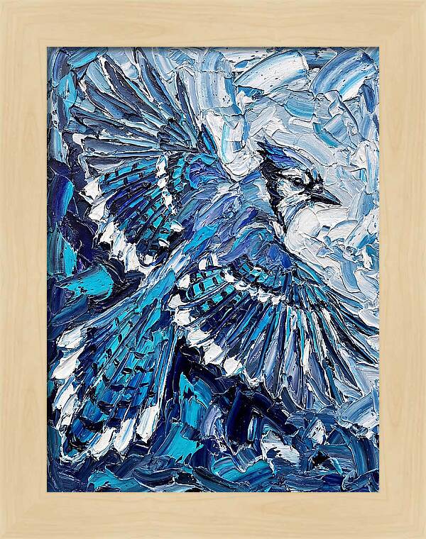 Majestic Blue Jay Soaring
