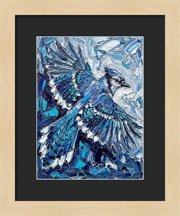Majestic Blue Jay Soaring