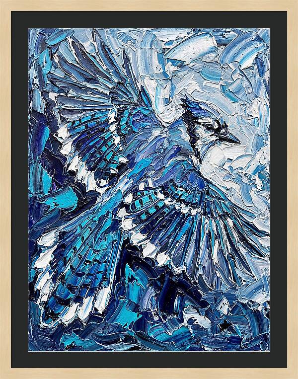 Majestic Blue Jay Soaring