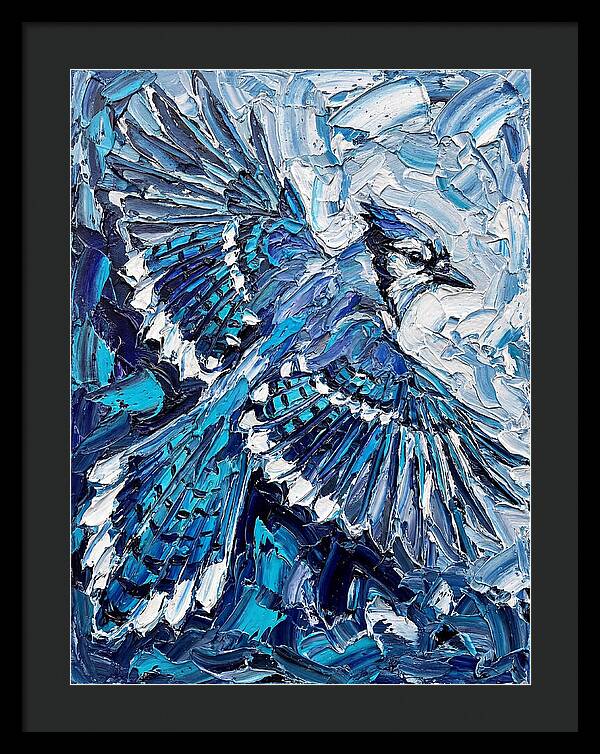 Majestic Blue Jay Soaring