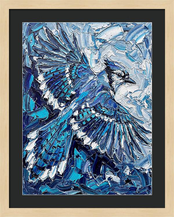 Majestic Blue Jay Soaring